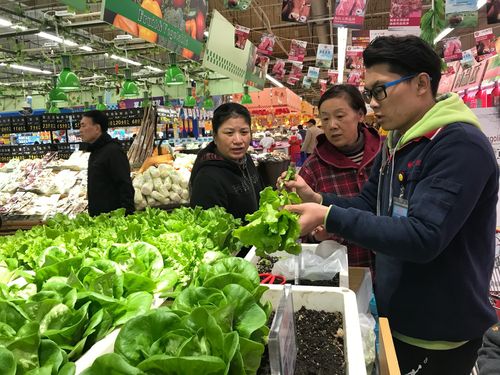 無人采摘蔬菜零售柜員機 農產品零售的智能化新篇章